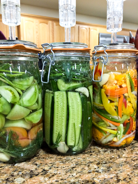 Homemade Kimchi Learning About Fermented Foods - Diy Fermentation Chamber Reddit